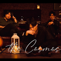 the Cosmos