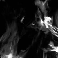 Vision’s Electric Sound Hall(233 tan90)