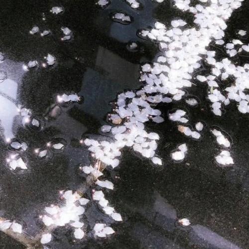 无人之岛封面