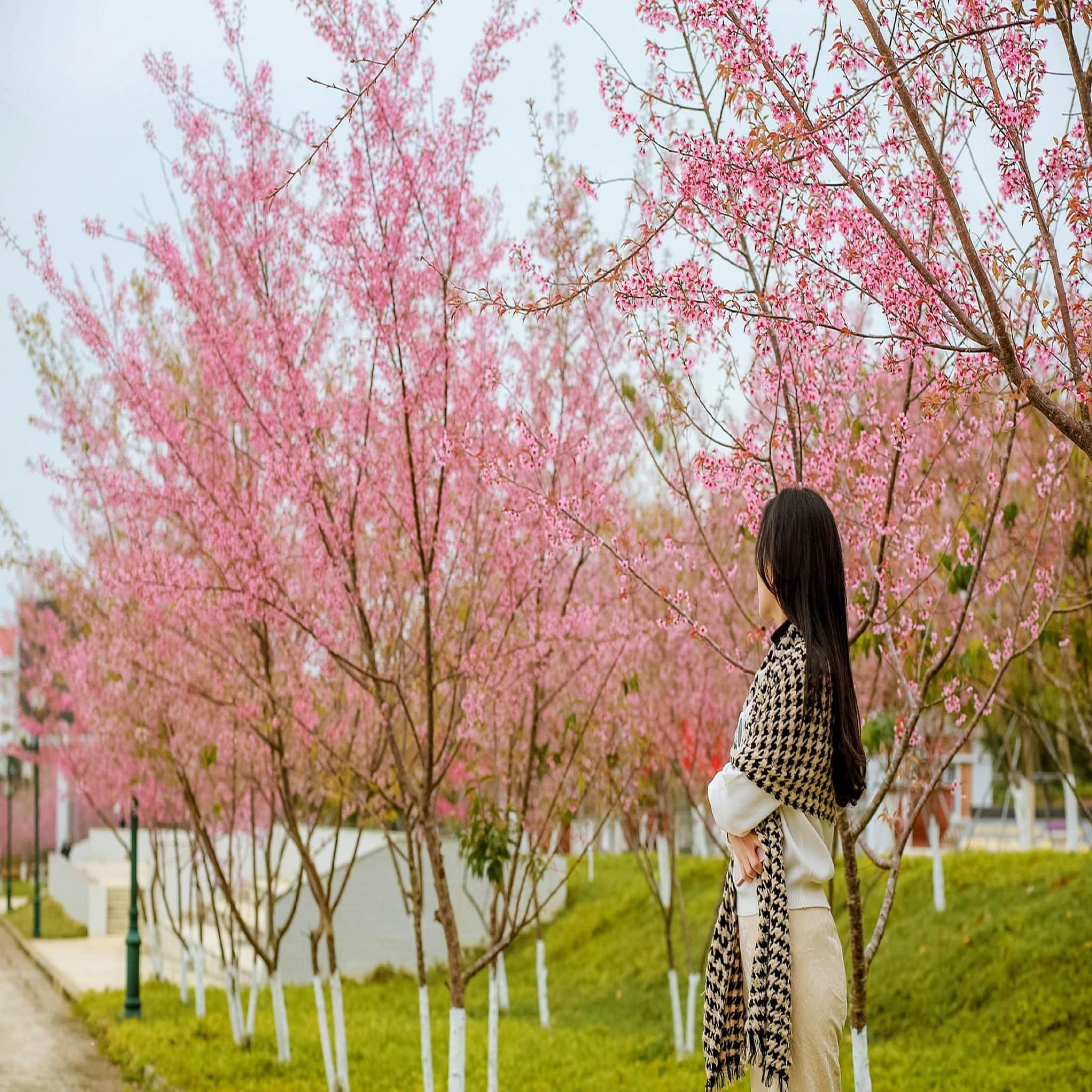 Still hoping after so much suffering we_ll be together forever