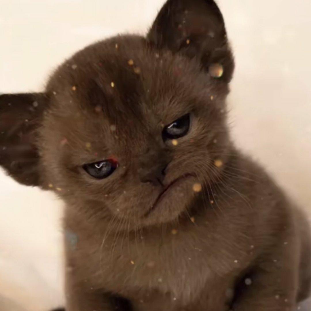 发呆总特别专心QAQ