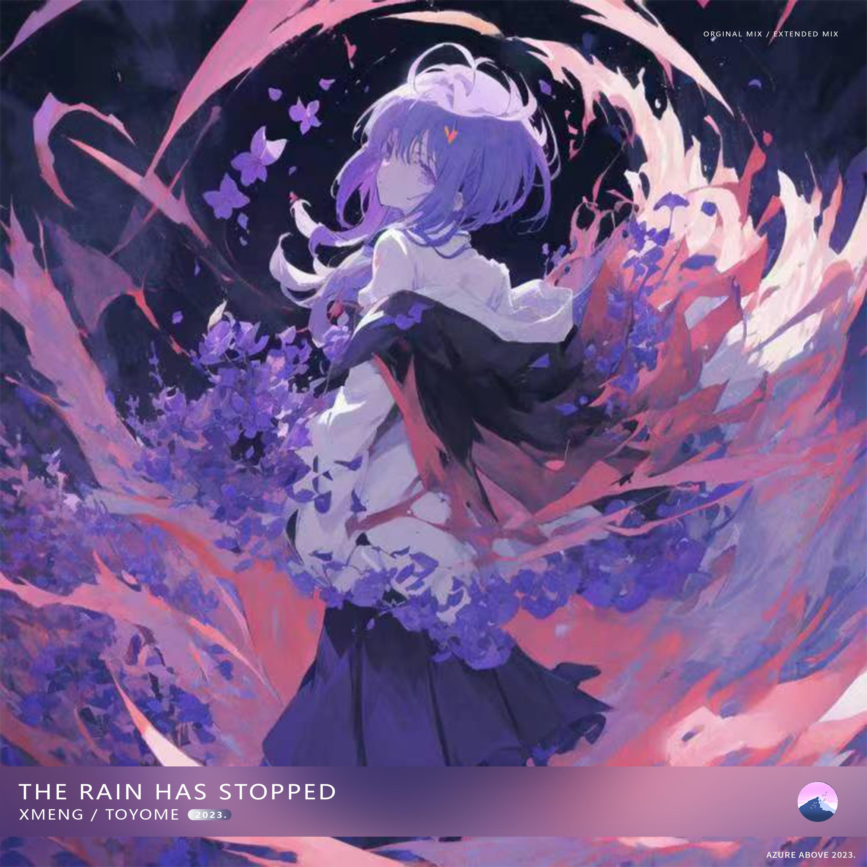 The Rain Has Stopped (Extended Mix)