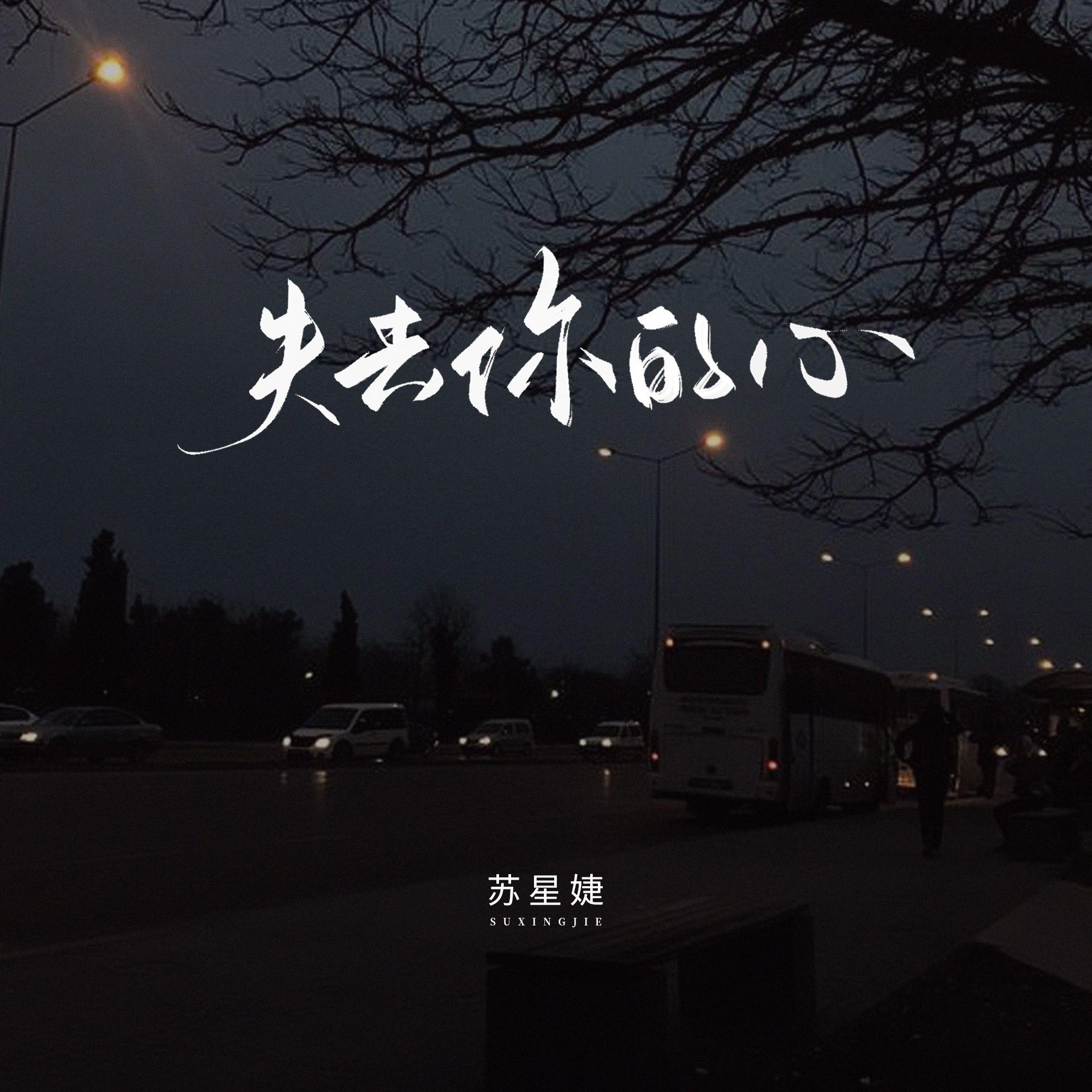 失去你的心 - 苏星婕封面