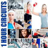 1 Hour Circuits