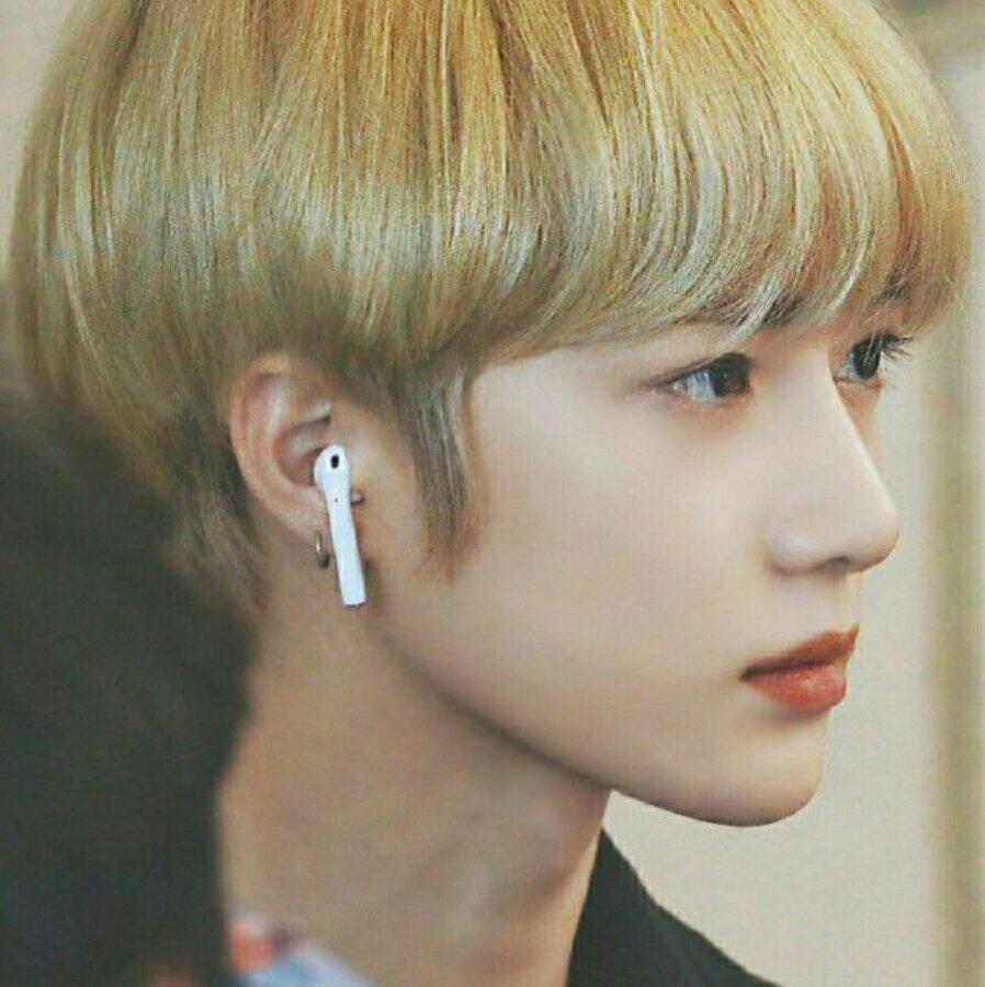 我的人生追星和学习就够了