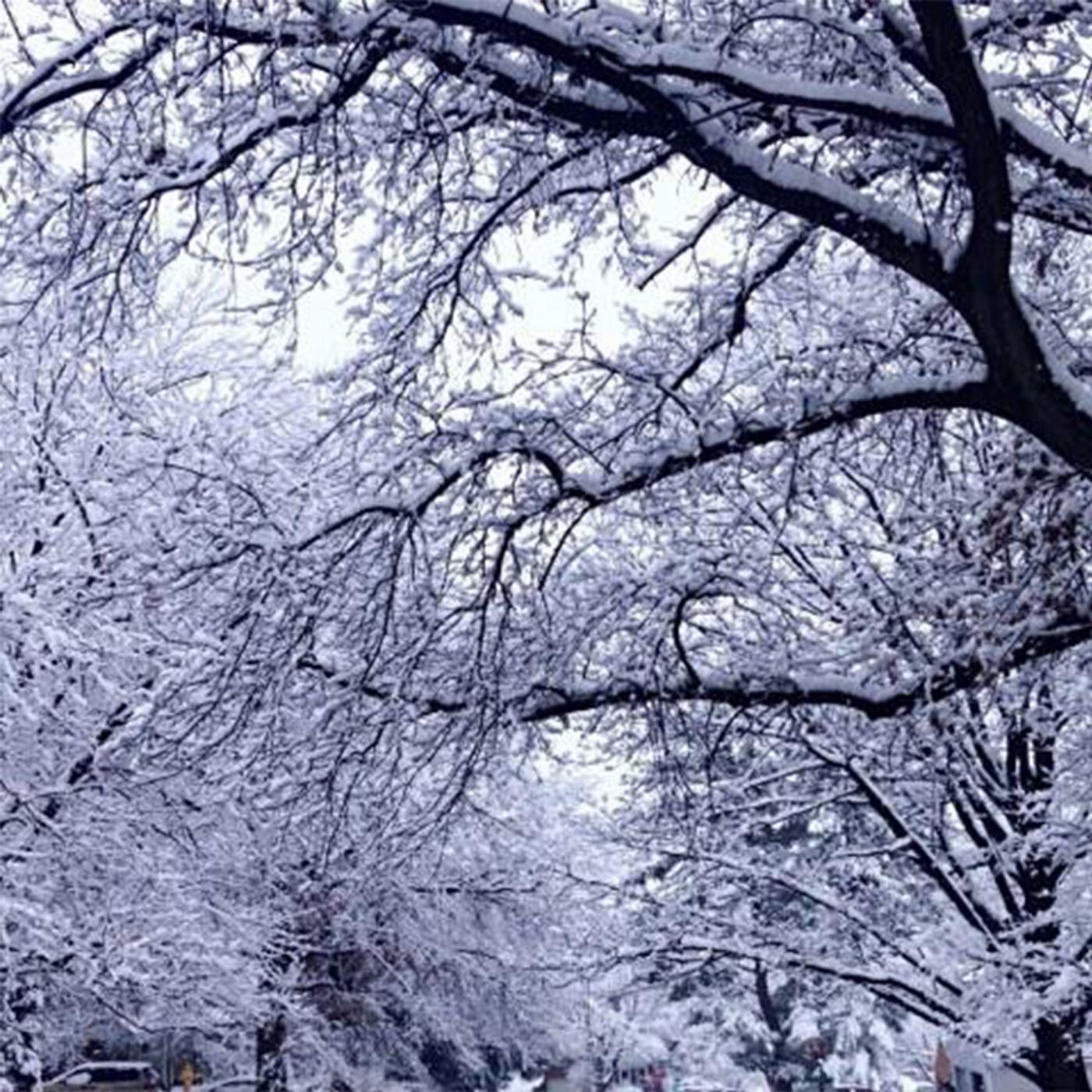 baby it's cold outside feat. RYCE, barnes blvd.