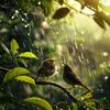 Native American Nature - Relaxation in the Rain with Birdsong