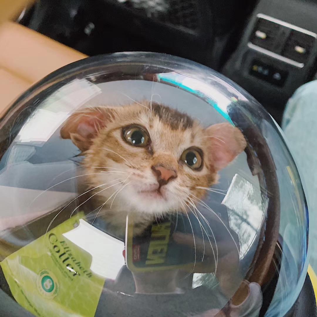 风 是秋的味道了(prod.Fantom)