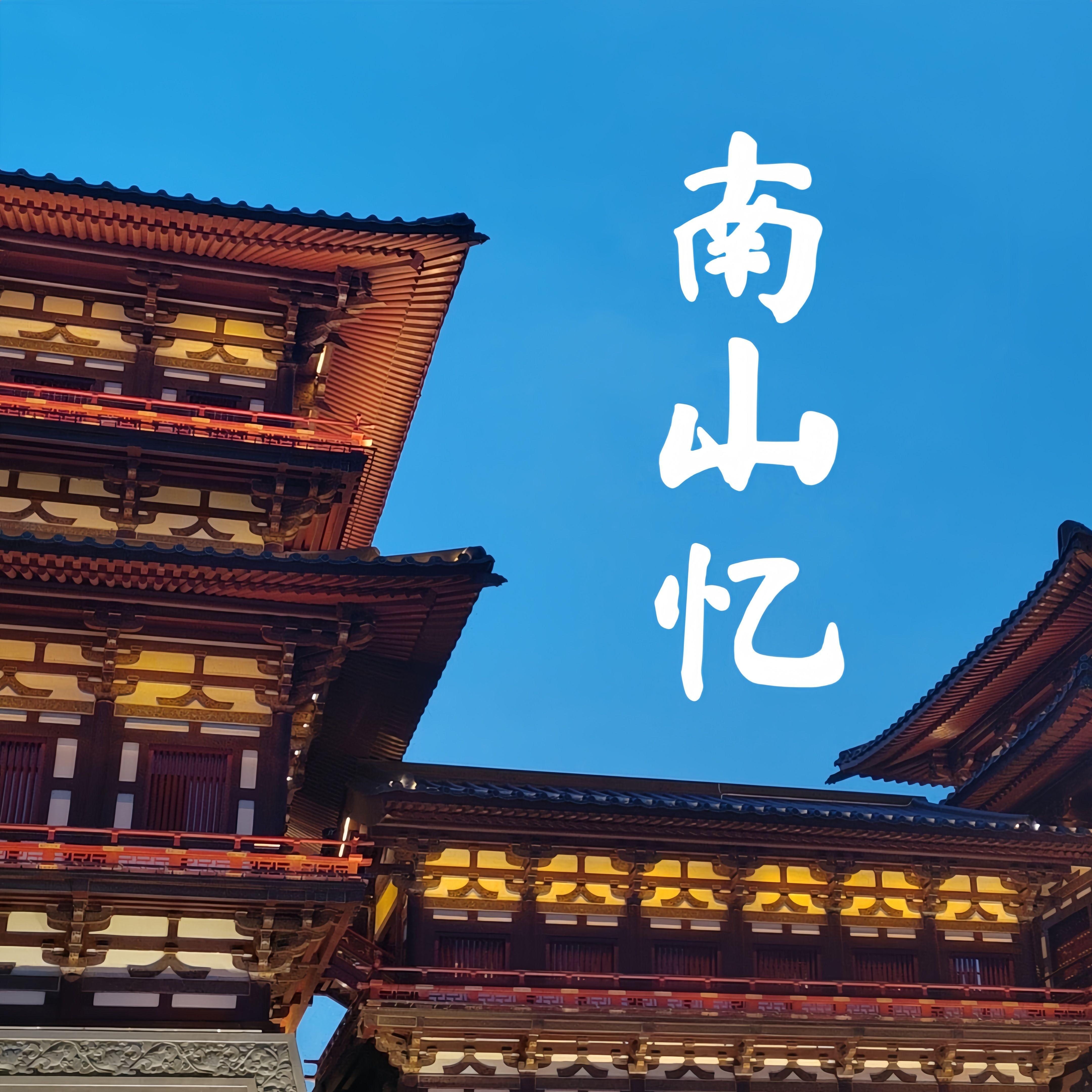 南山忆封面