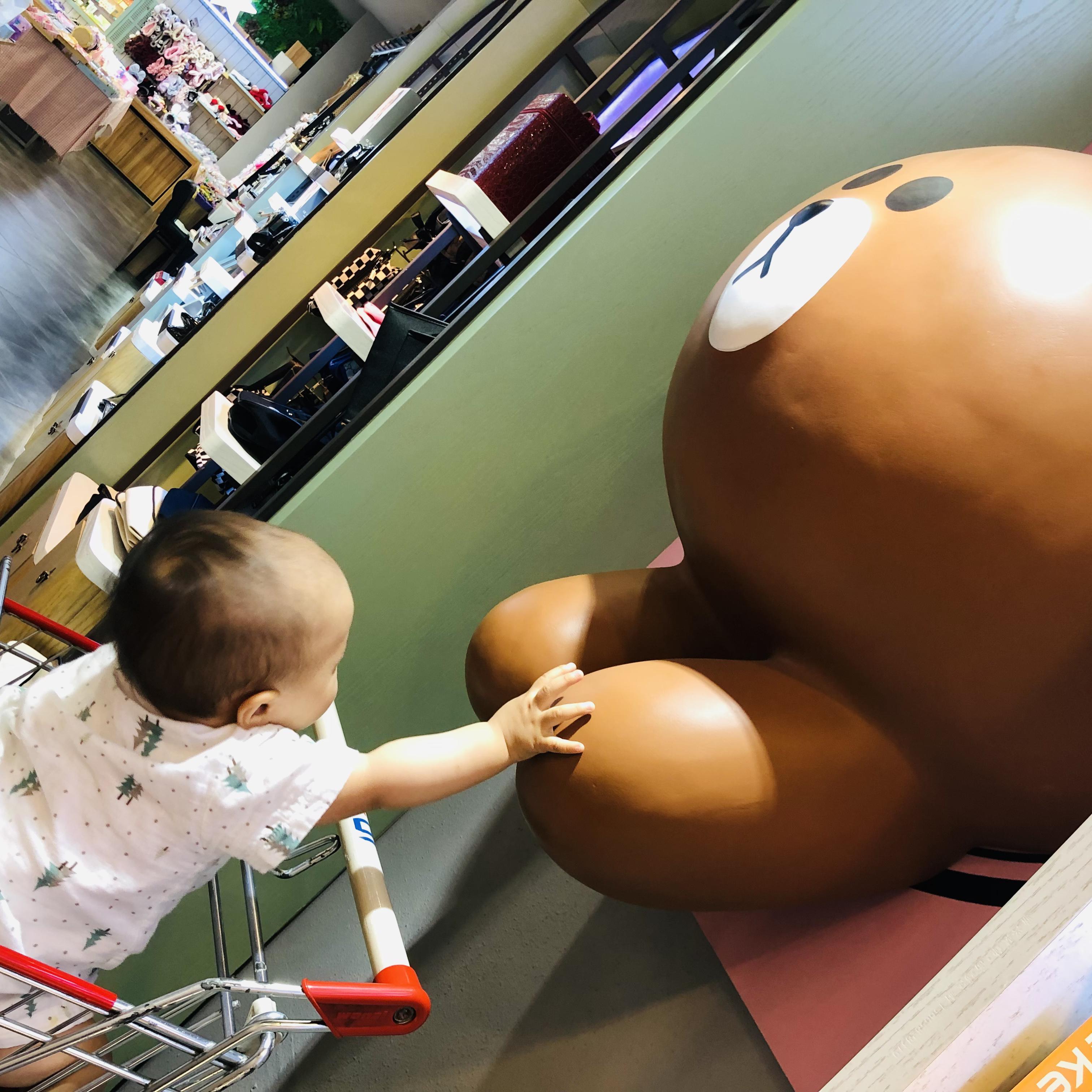 不起床的赖皮小猴