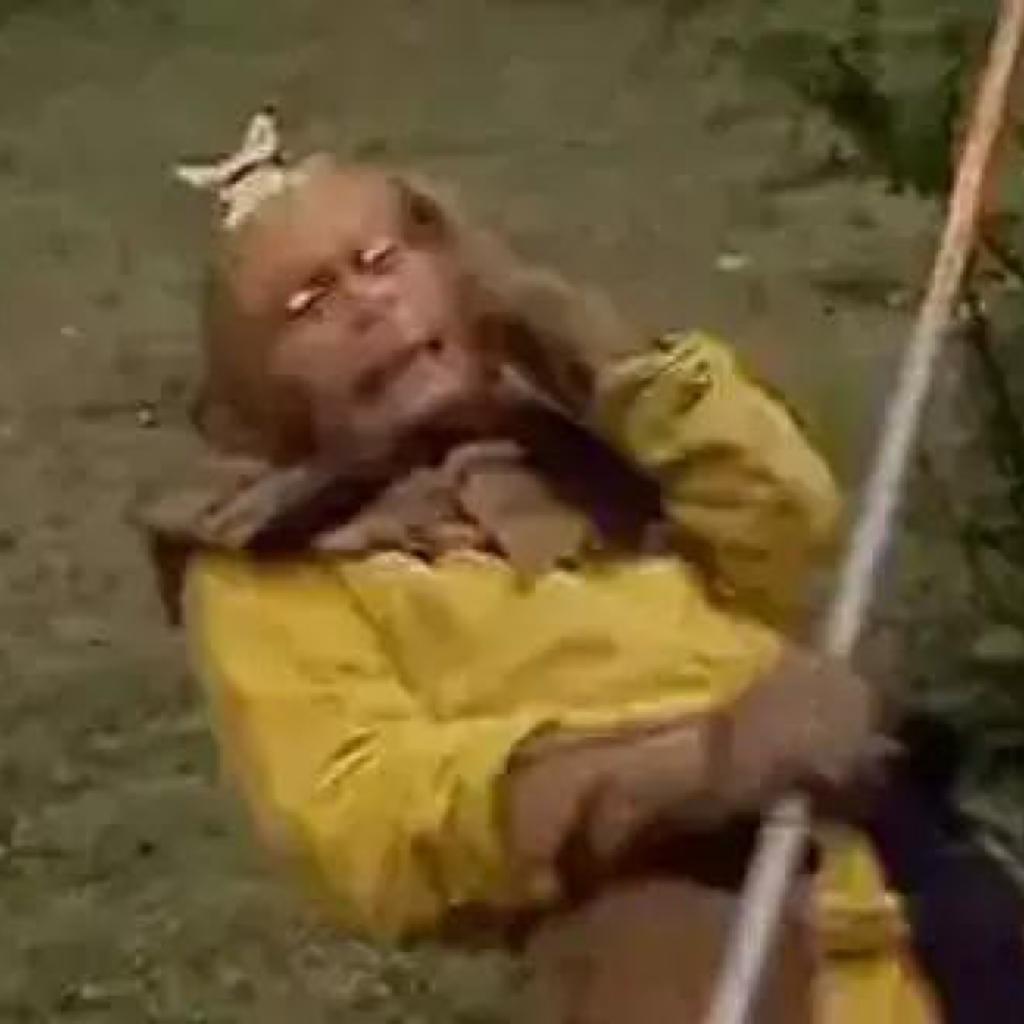 完美的世界差_与_妳同行