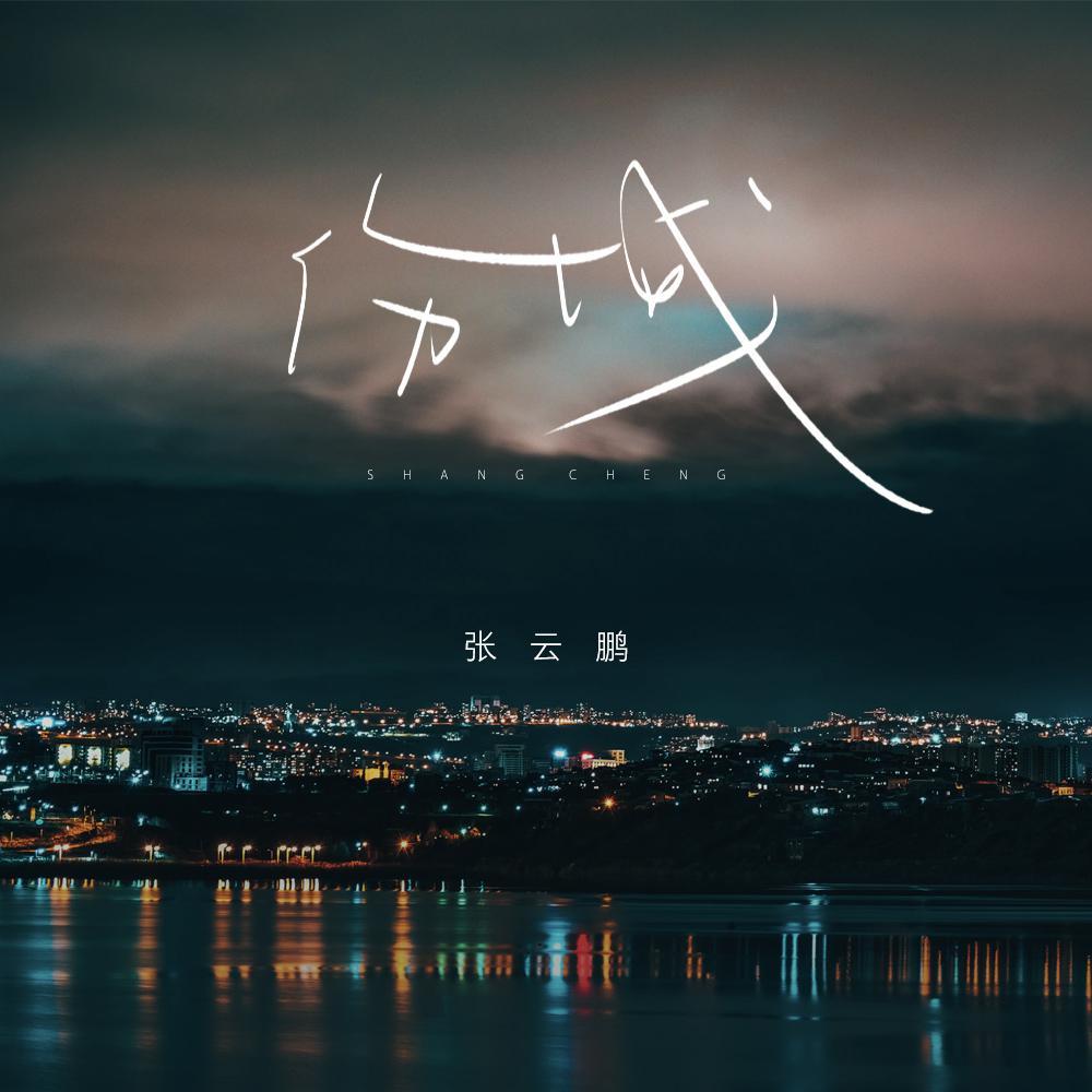 伤城 (DJ版)封面