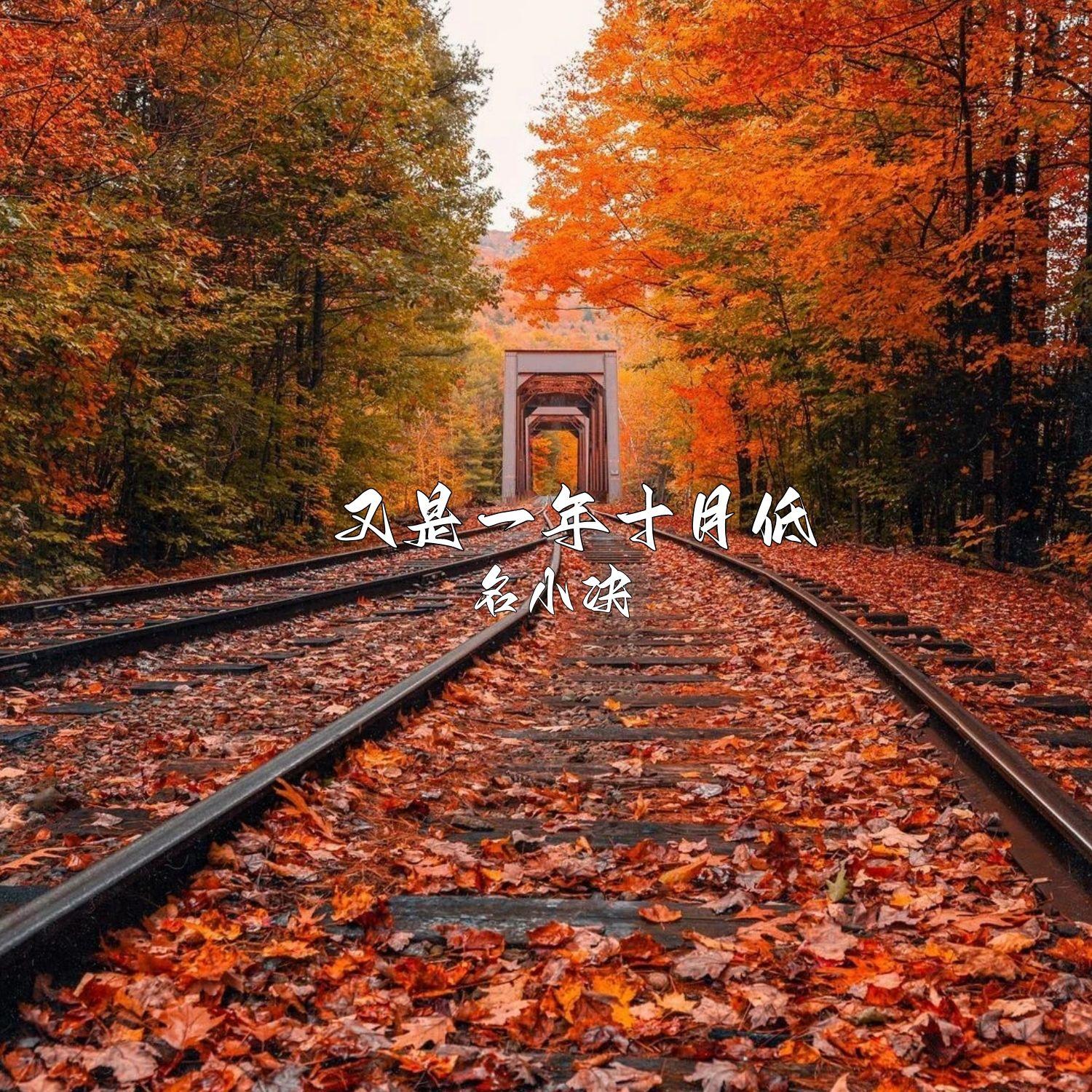 我明明深爱着你啊封面