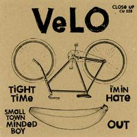 VeLO