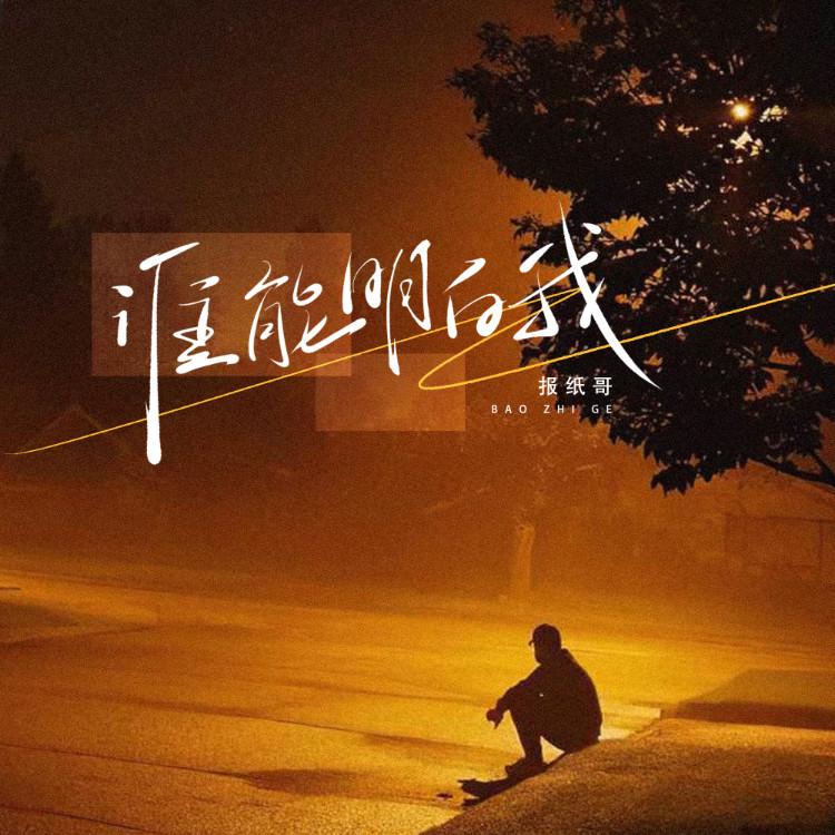 谁能明白我 (DJ豪大大版)封面