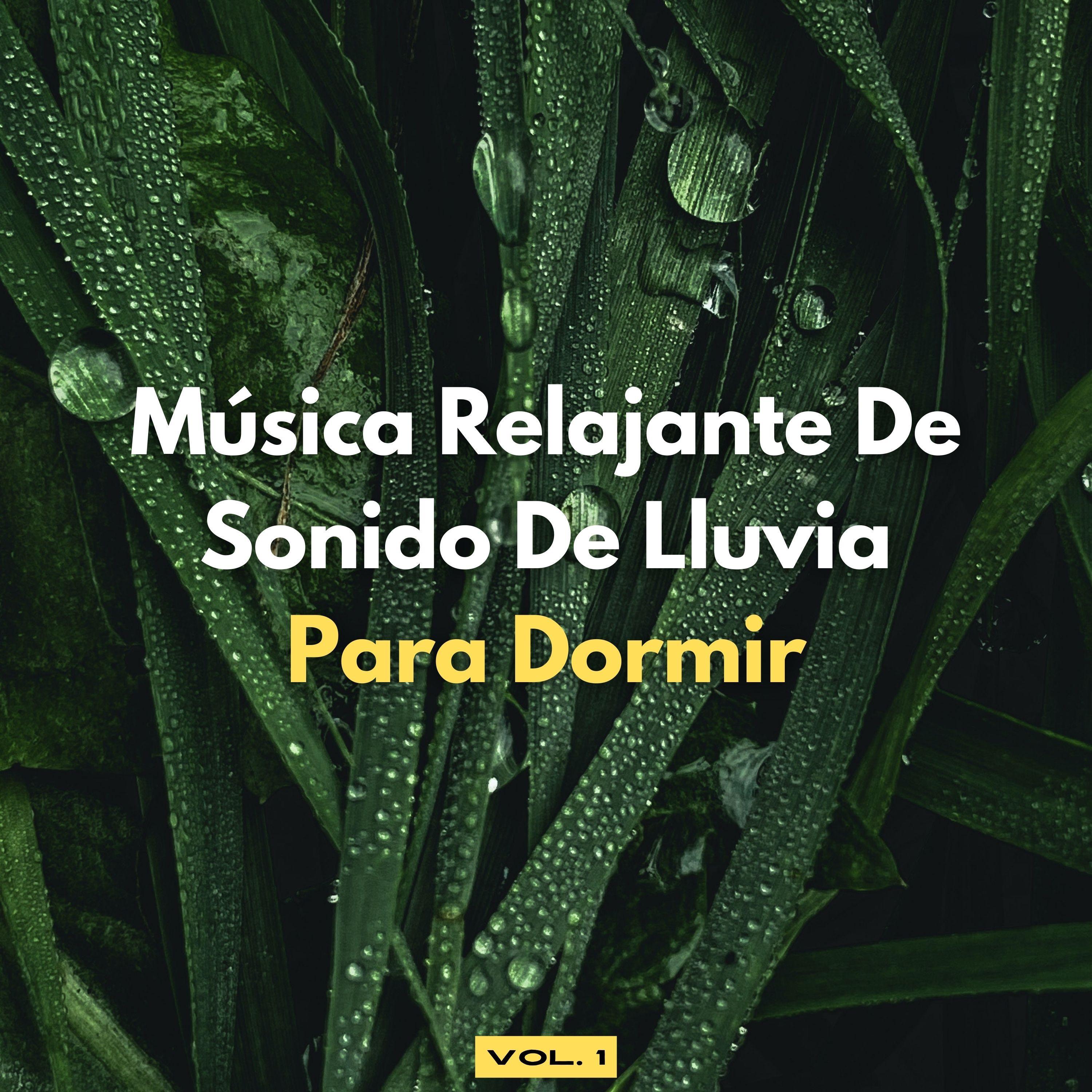 Música Relajante De Sonido De Lluvia Para Dormir, Vol. 1 - Lluvia Para ...