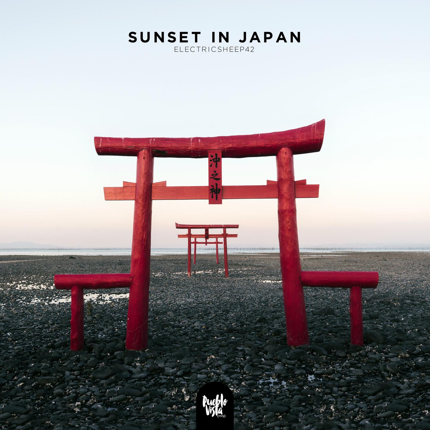 Skating in Tokyo city