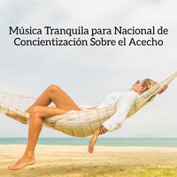 Música Tranquila para Nacional de Concientización Sobre el Acecho: Sonidos Ambientales