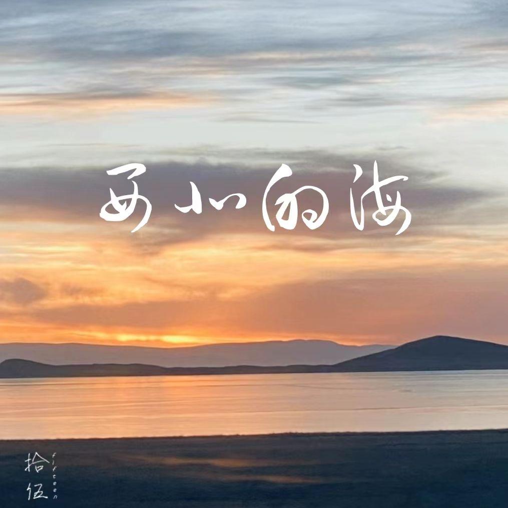 西北的海封面