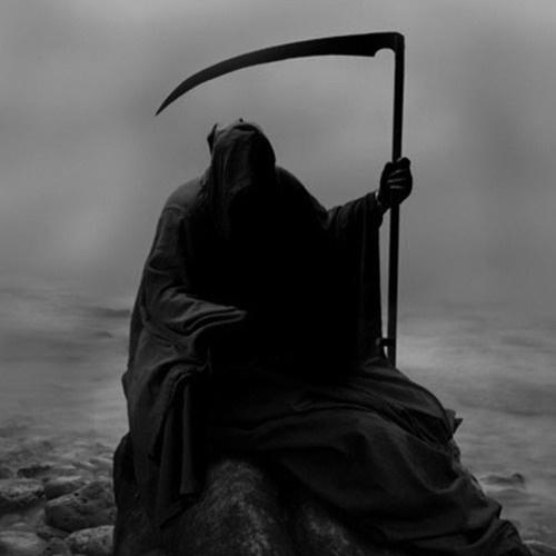 THE REAPER IN MY HEAD_nothing,nowhere._THE REAPER IN MY HEAD | 在线播放_THE REAPER IN MY HEAD歌词_THE REAPER IN MY HEAD下载 | 网易云音乐