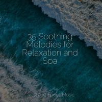 35 Soothing Melodies for Relaxation and Spa