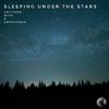 Raccoon With a Groovebox - Sleeping under the stars