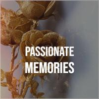 Passionate Memories