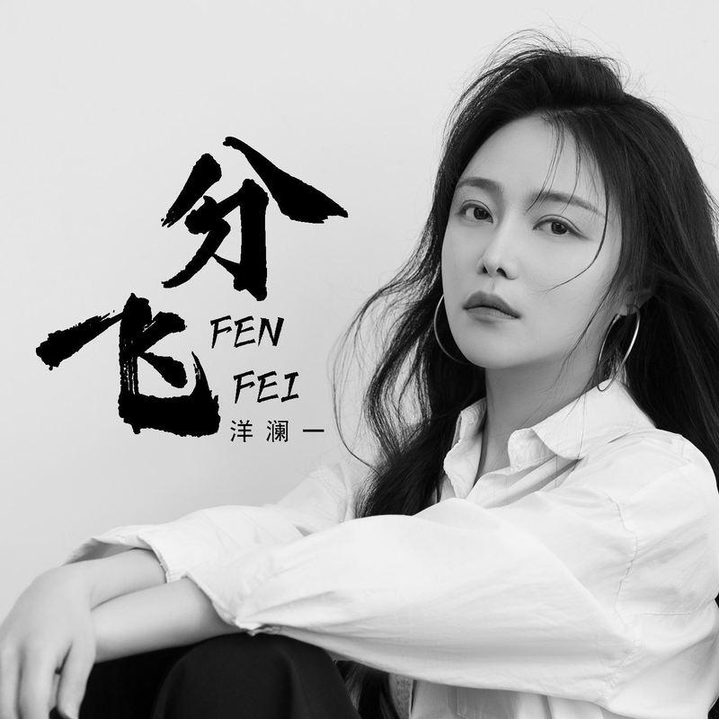 分飞 (雨纷飞 飞在天空里是我的眼泪) (DJ彭锐版)封面