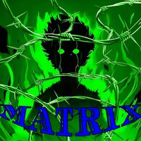 MATRIX
