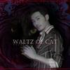 圈同学 - 《 猫的舞步/Waltz of cat》和声伴奏（含rap）