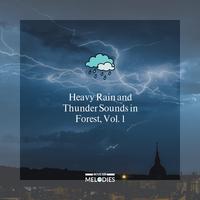 Heavy Rain and Thunder Sounds in Forest, Vol. 1