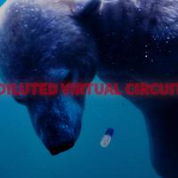 Diluted Virtual Circuit