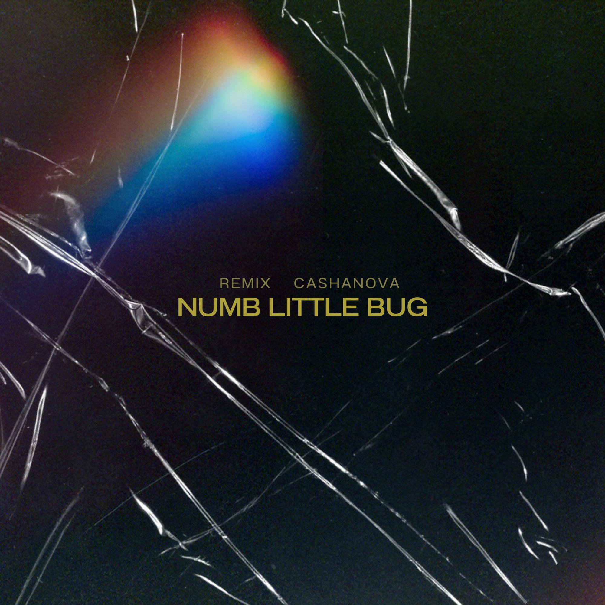 Numb Little Bug - cashaNova Remix
