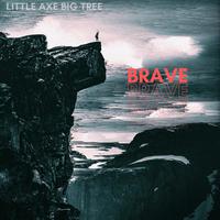 Brave (feat. Voli Contra, SILVER & EriX)