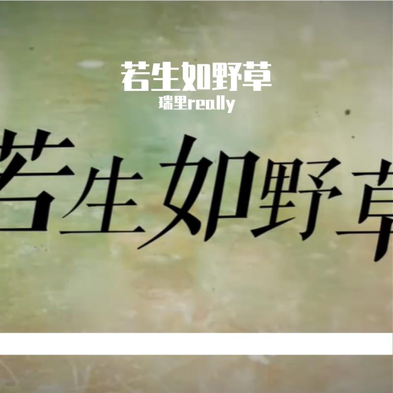 若生如野草封面