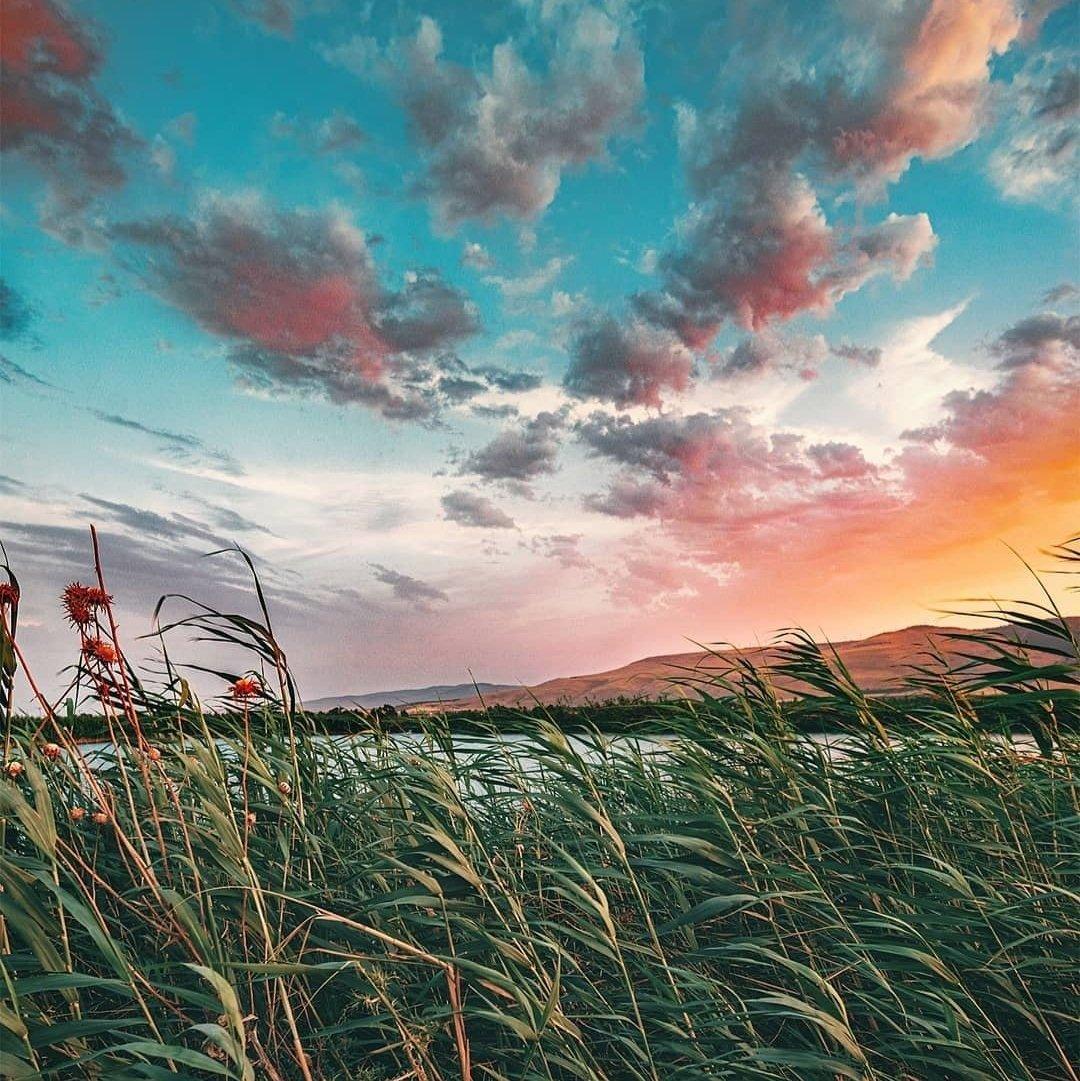 My music,I am the master