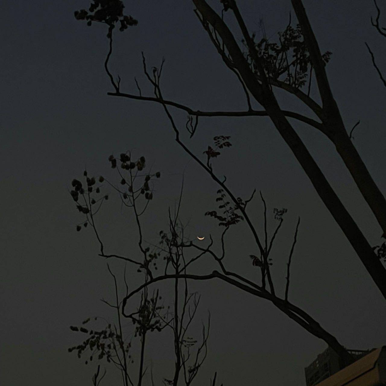 风继续吹（cover 张国荣）