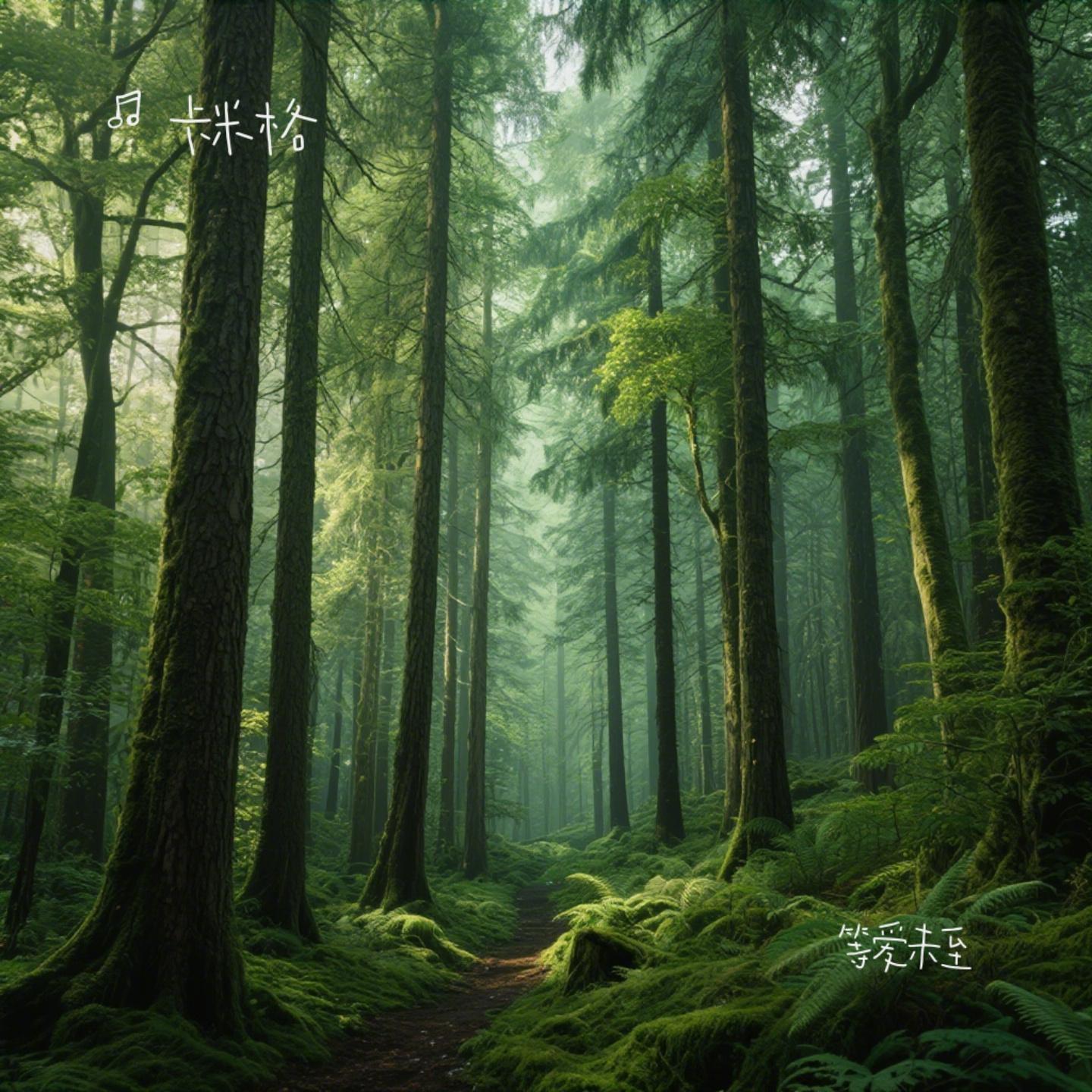 等爱未至 - 卡米格封面