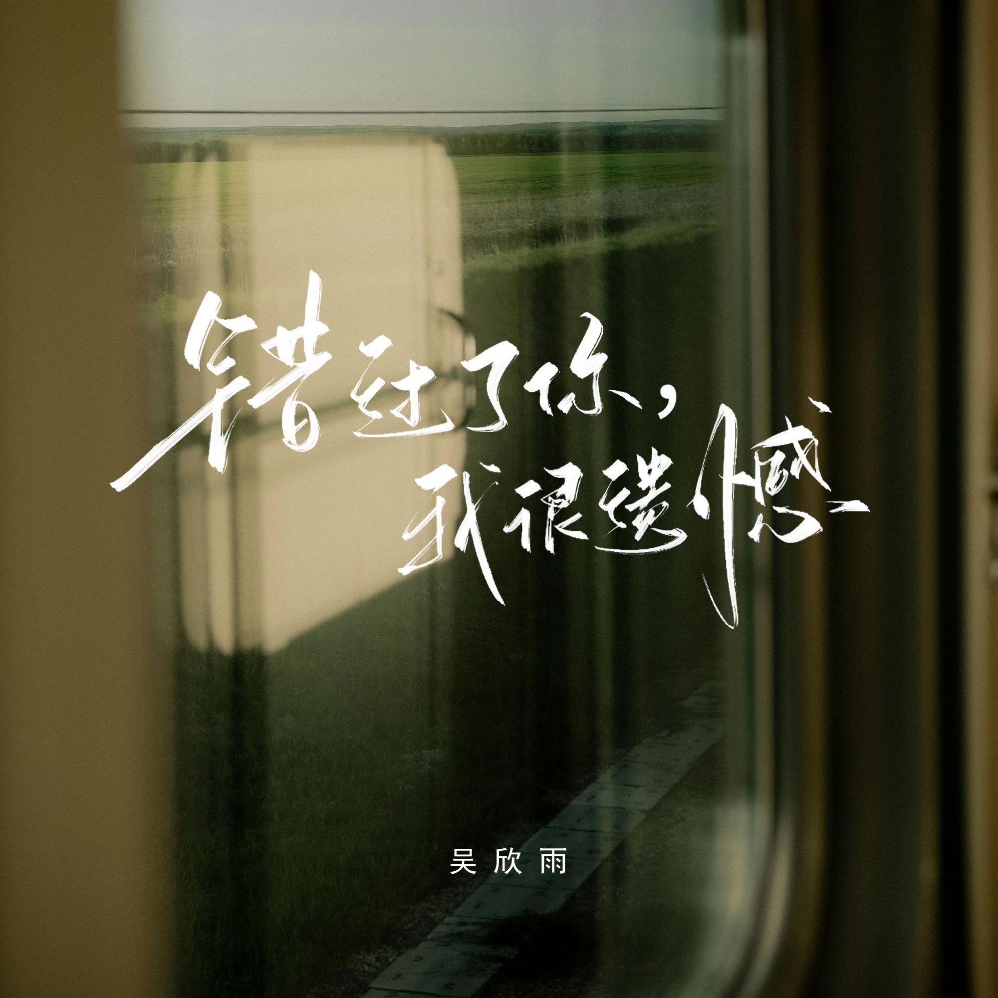 错过了你，我很遗憾 - 吴欣雨封面