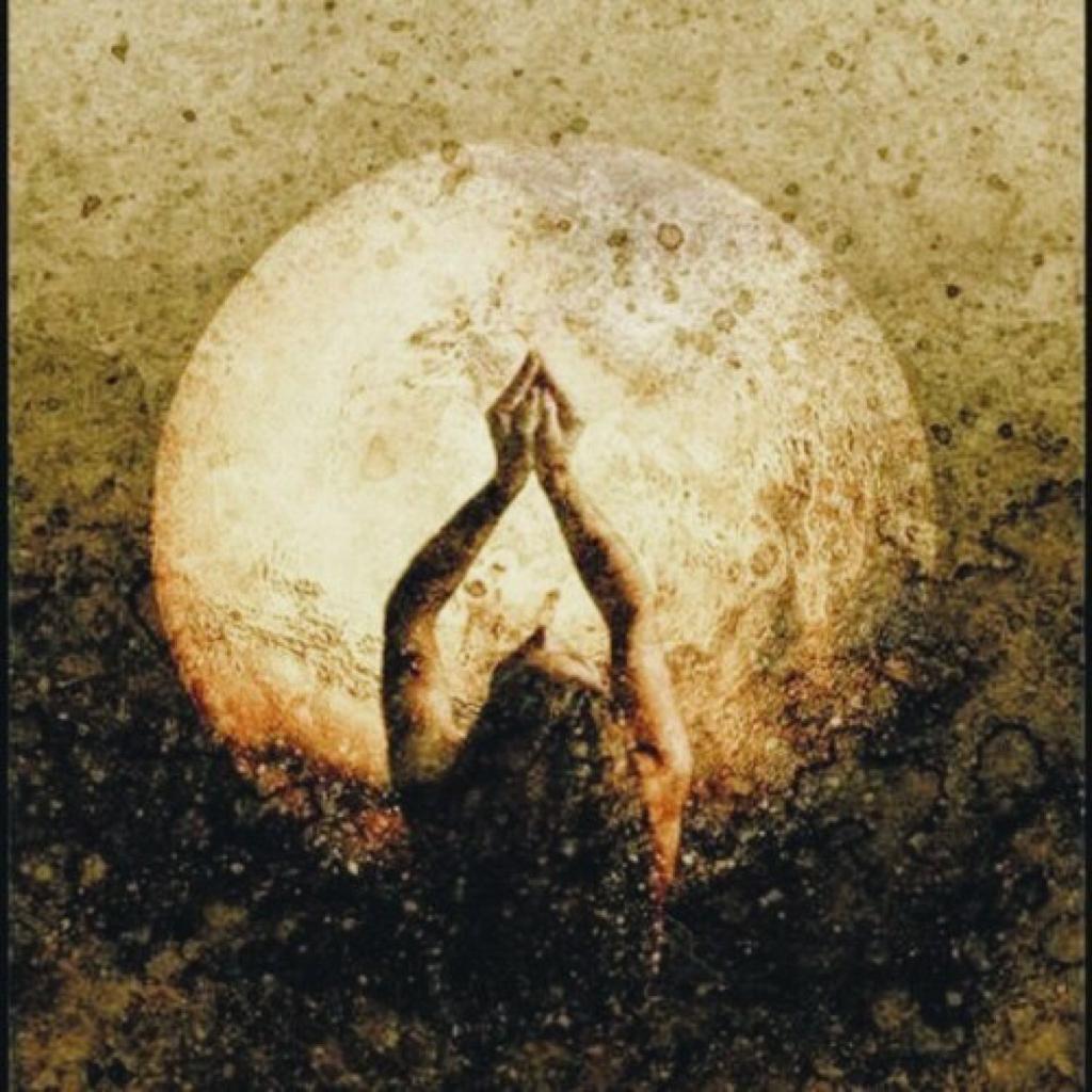 幻＊毒＊魔性『Trap』——Troy Boi