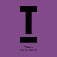 Warrior Wall EP