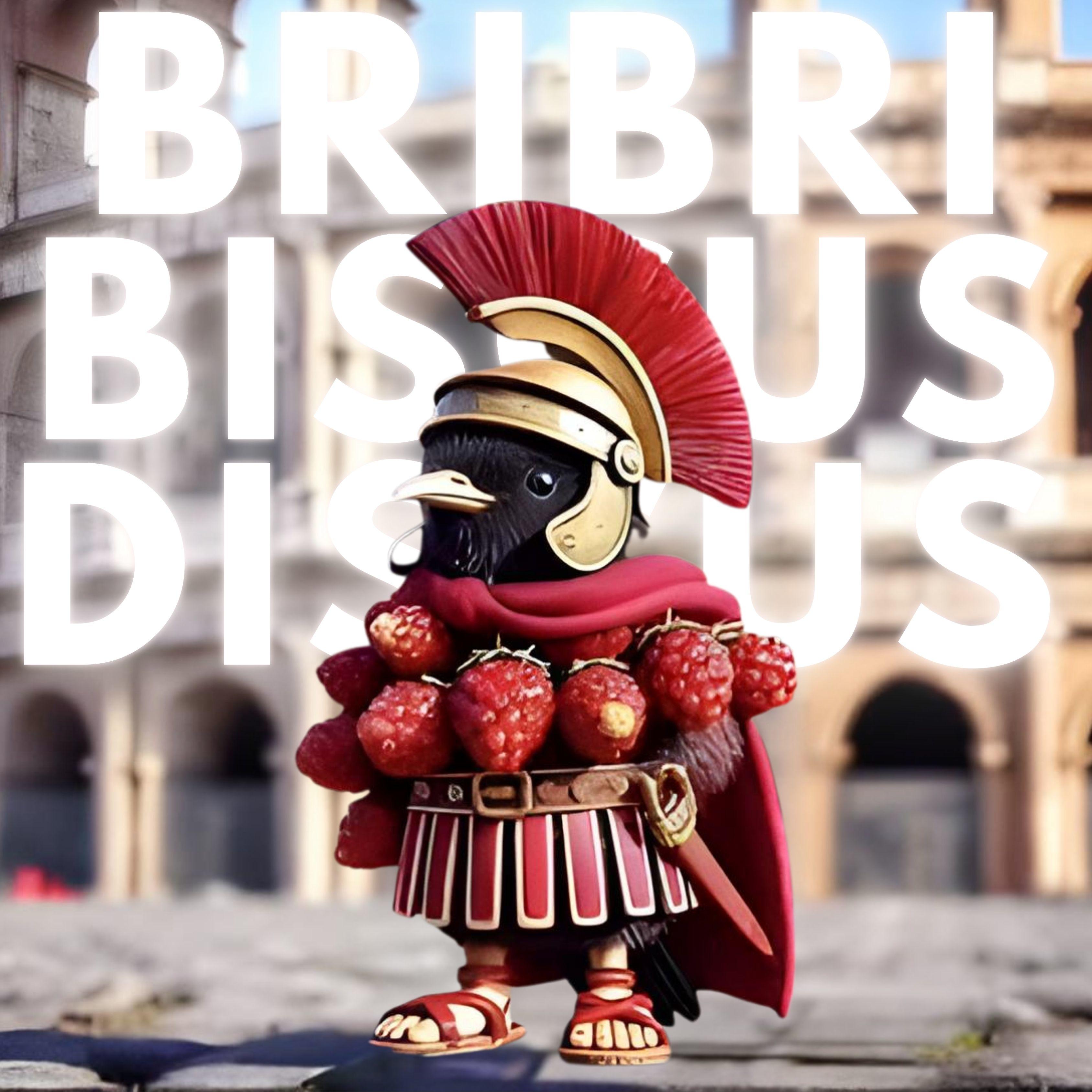 BRIBRI BISCUS DISCUS