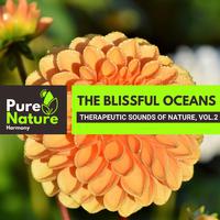 The Blissful Oceans - Therapeutic Sounds of Nature, Vol.2