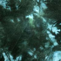 Canopy