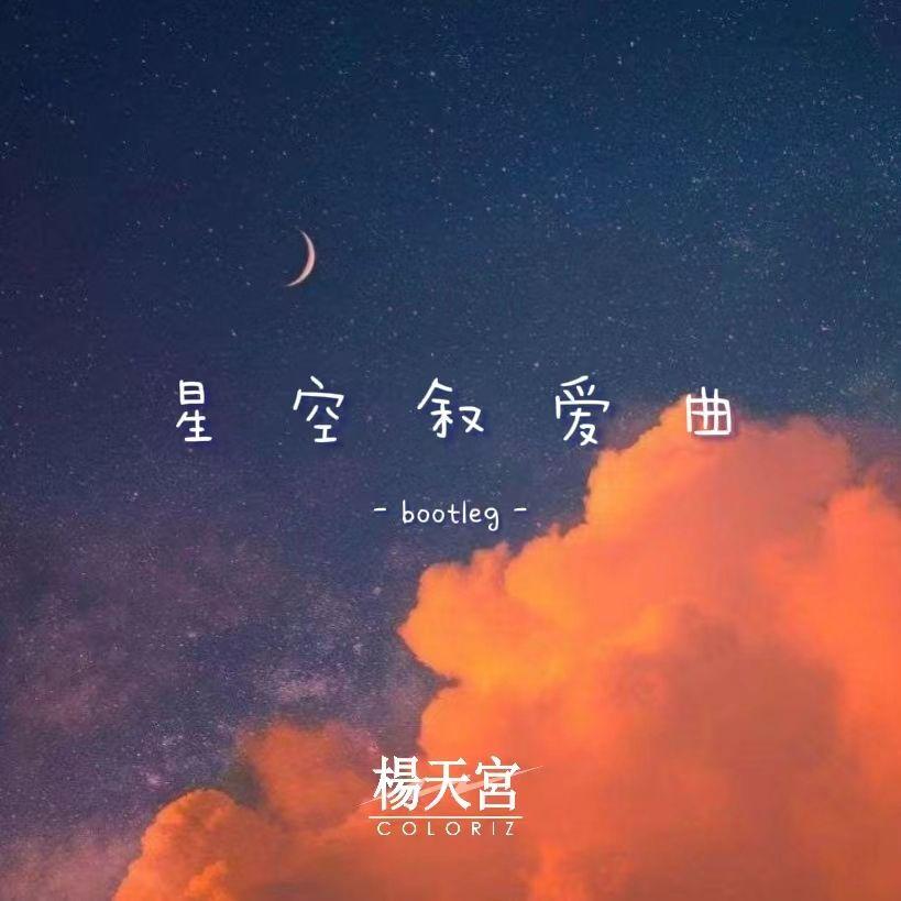 星空叙爱曲 (杨天宫 Bootleg)封面