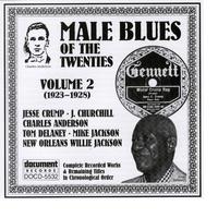 Male Blues Of The Twenties Vol. 2 (1923-1928)