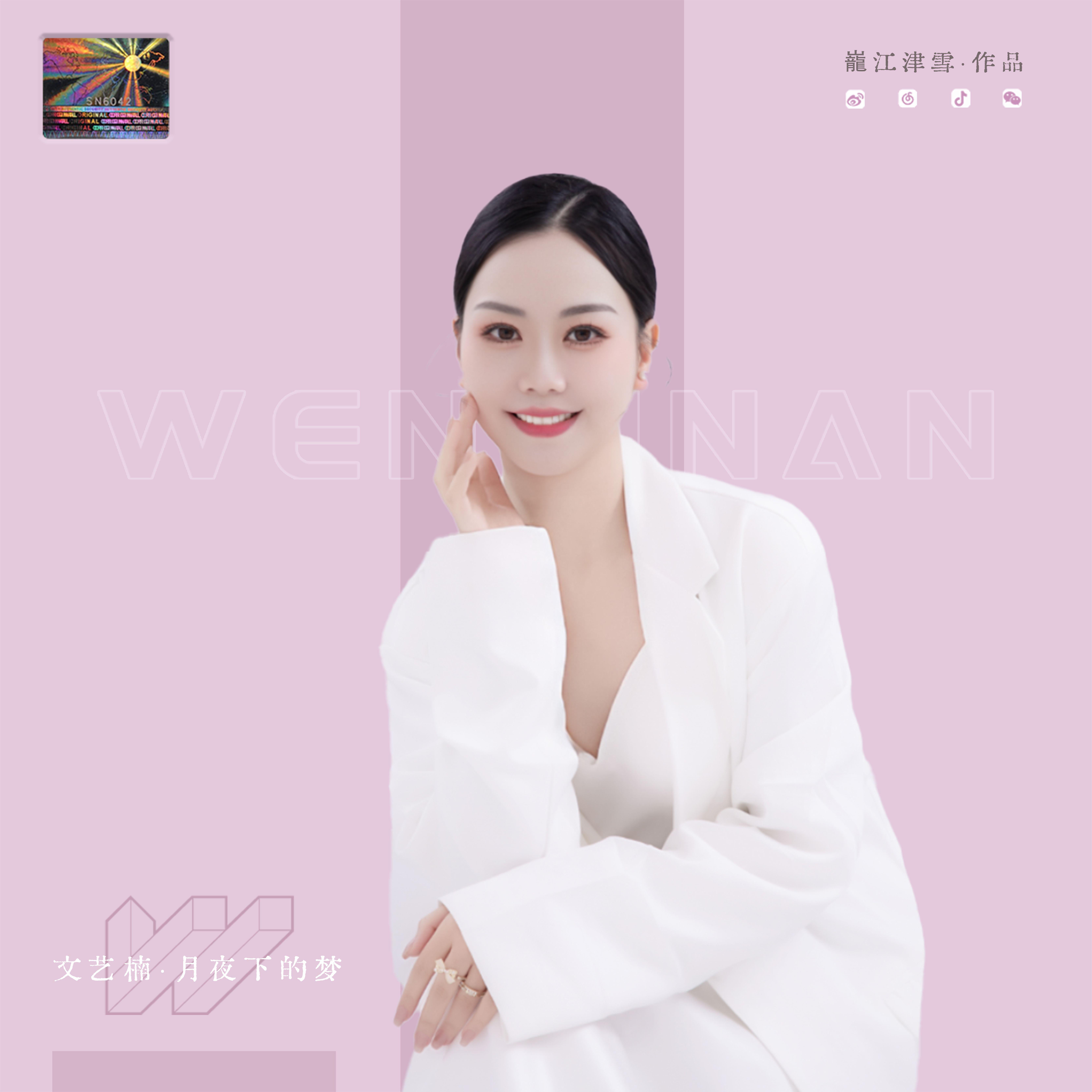 月夜下的梦封面