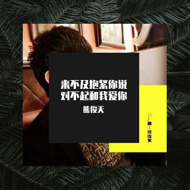 来不及抱紧你说对不起和我爱你封面
