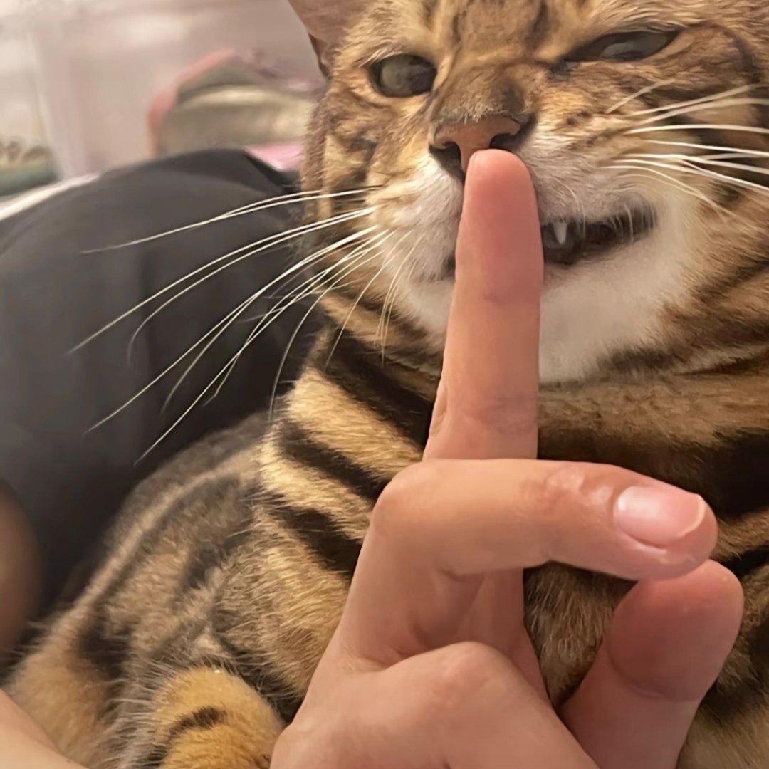 氛围感｜流行旋律热歌