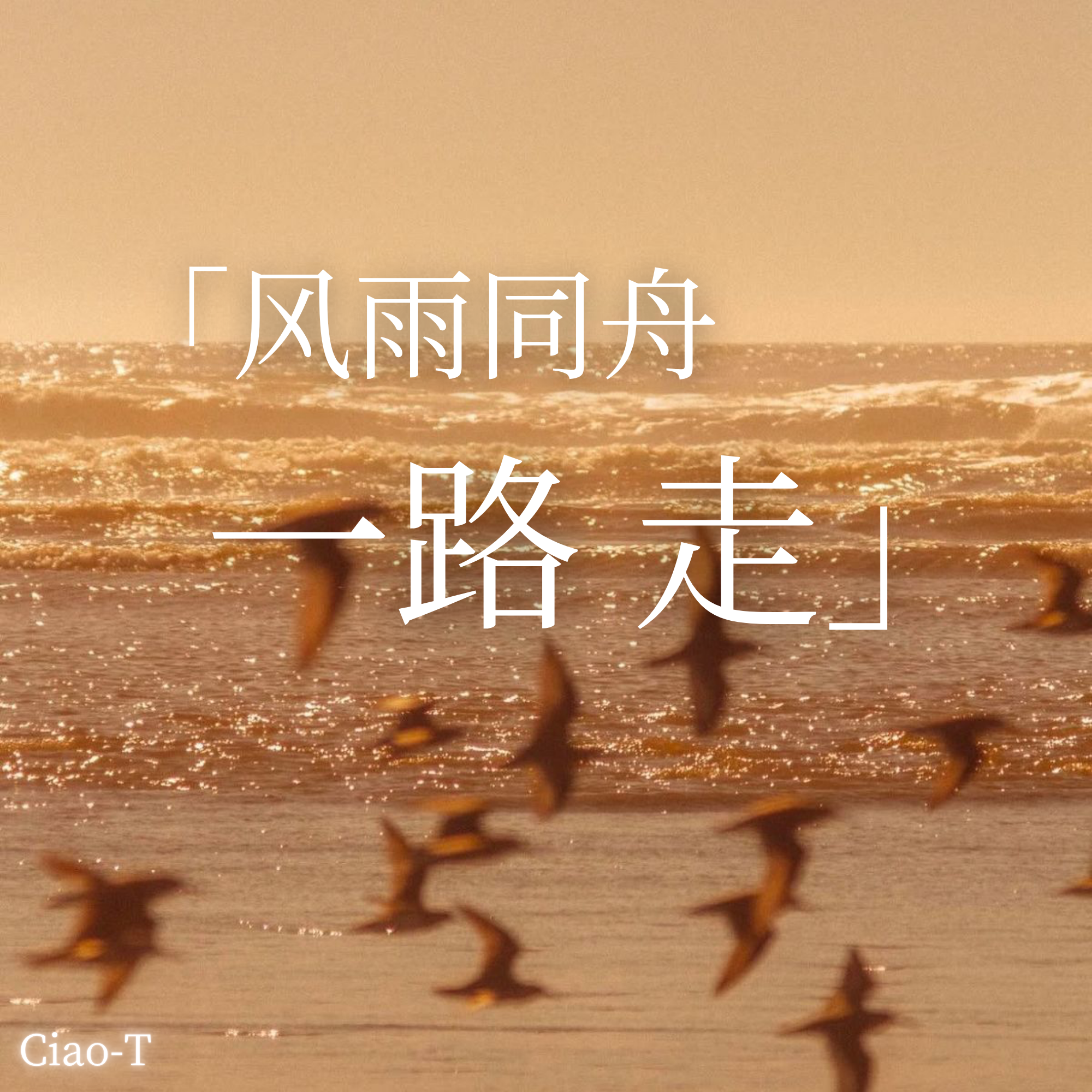 风雨同舟一路走（深情版）封面